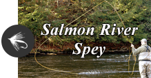 Salmon River Spey - Blog