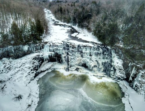 Salmon River Falls