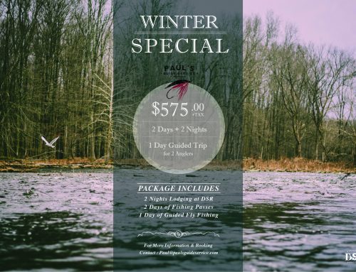 Winter Special