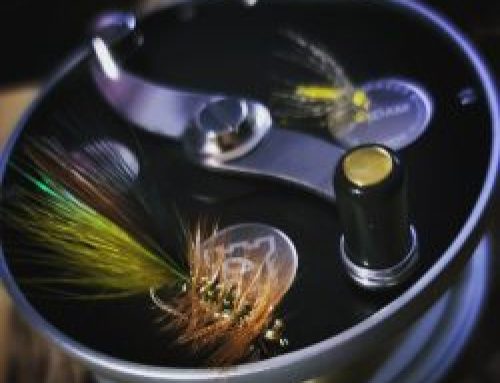 Trout Spey – Why Try It