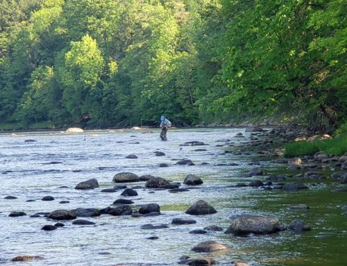 Trout Trips – Float Trips